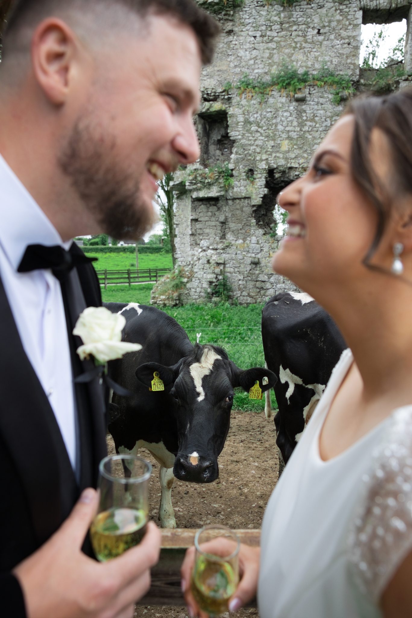 woodlands Adare Wedding Photography insight Photography